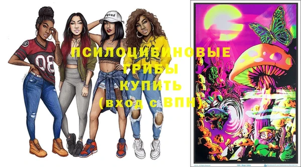 соль ск Белокуриха