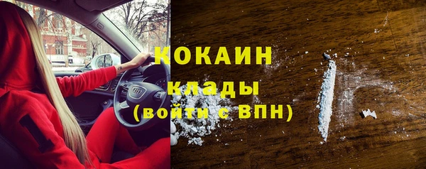 соль ск Белокуриха