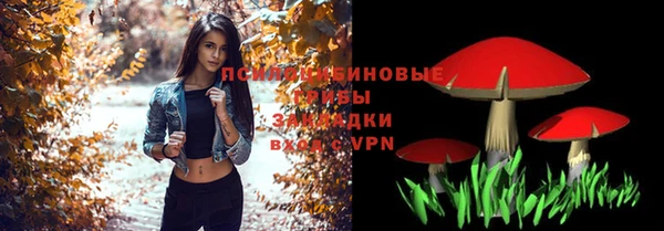 соль ск Белокуриха