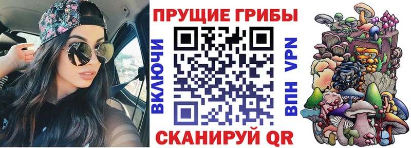 Галлюциногенные грибы мицелий гидра ссылка Светлогорск