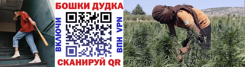 МАРИХУАНА тримм  blacksprut   Светлогорск 